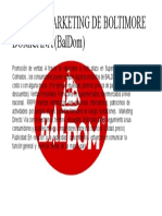 Plan de Marketing de Boltimore Domicana (Baldom)