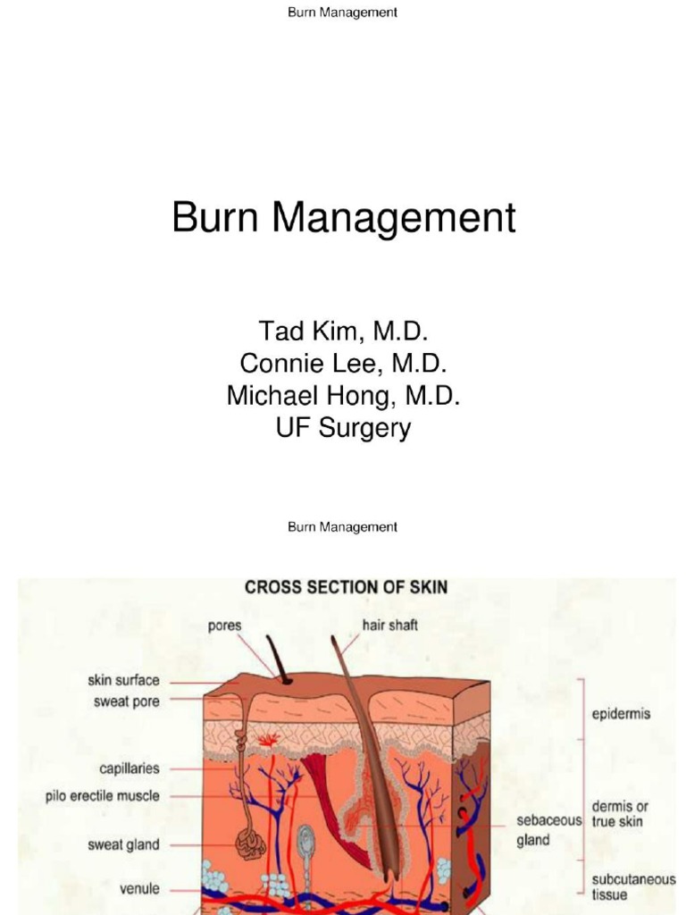 BURN PDF