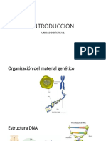 Introducción Dna