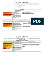 PLAN DE ATENCIÓN Nvo