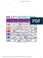 Maturity Model 1500