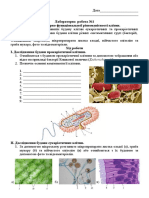 Лабораторна робота №1 Вивчення структурно-функціональної різноманітності клітин. 9 клас