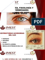 Anatomia y Fisiologia (Ojo)