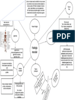 Fisiologia Muscular