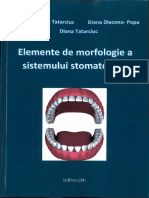 Elemente de Morfologie A Sistemului Stomatognat Ocr 1