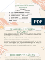 Hormon Pertumbuhan Kel. 4 - PSB 20C