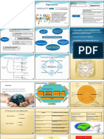 Organización: definiciones, elementos, características y funciones