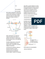 Fisiologia