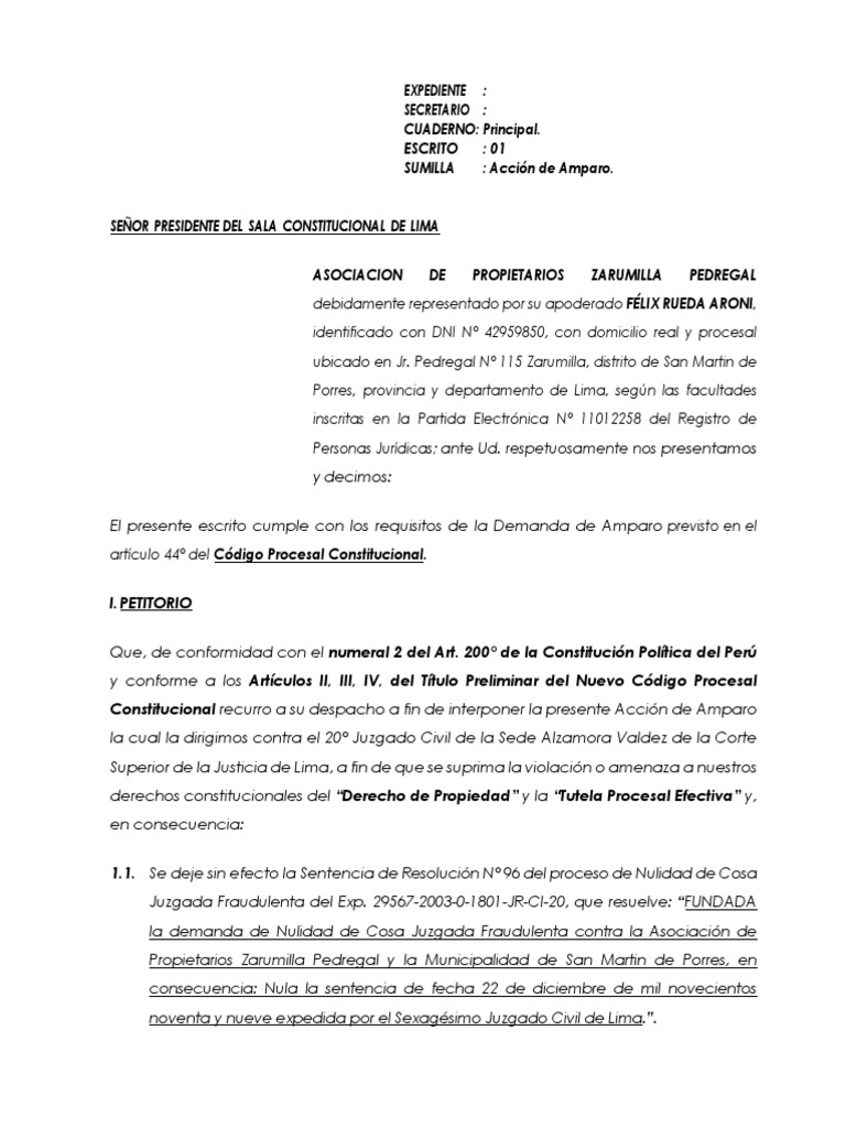 Acción de Amparo contra Sentencias Judiciales | PDF | Sentencia (ley ...