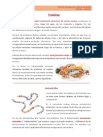 Alimentación Clase 6 Archivo 2 Aminoácidos y Proteínas