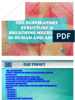 The Respiratory Structure & Breathing Mechanism in Human