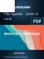 Module 3 Minerals
