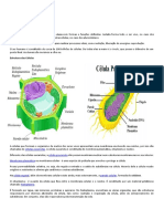 A estrutura da célula e suas partes