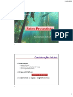 Protistas - Algas e Protozoários