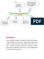 Reflexión N° 7 - Formas Musicales Más Utilizadas Del Romantisismo