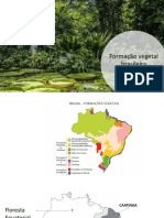 Formação Vegetal Brasileira - Domínios
