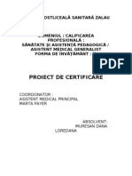 Proiect de Certificare