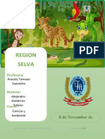Region Selva