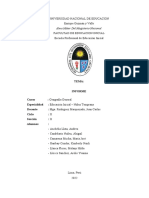 Informe Trabajo de Campo-Morro Solar