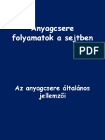 Anyagcsere Folyamatok A Sejtben