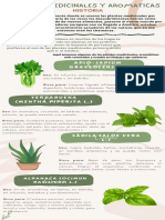 Infografia de Plantas Medicinales y Aromaticas