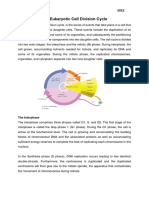 The Cell Cycle