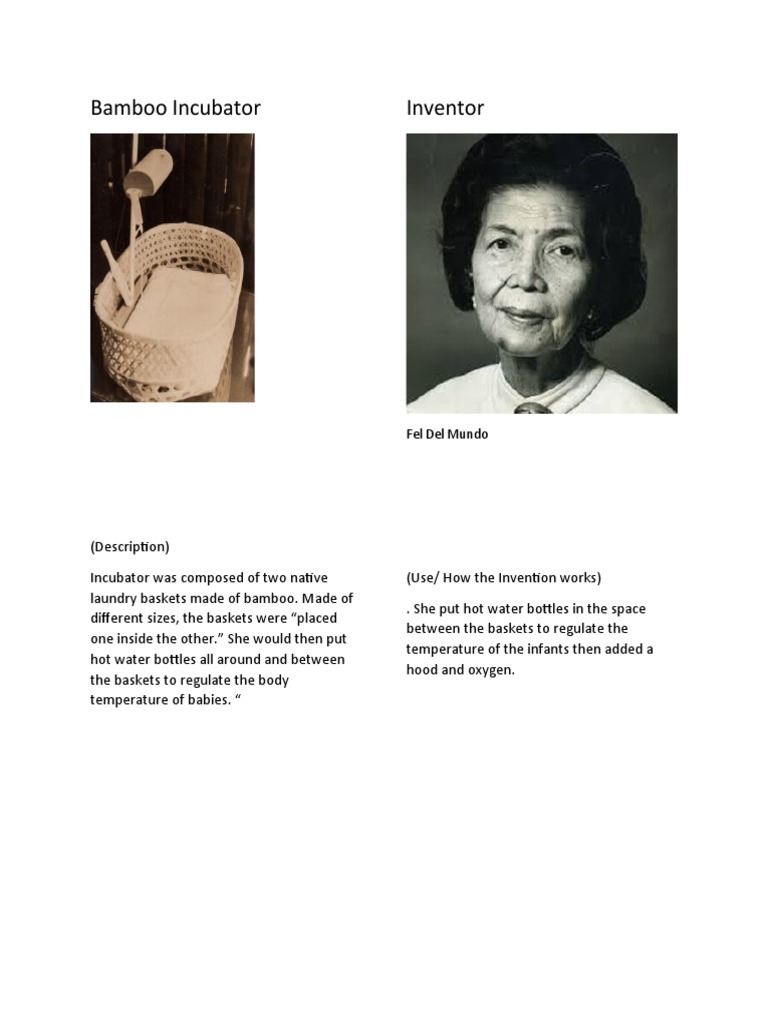 Bamboo Incubator PDF