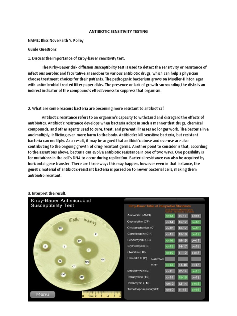 Antibiotic Sensitivity Testing Overview | PDF | Antimicrobial ...
