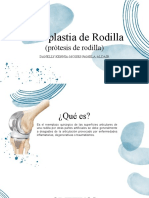 RH Protesis de Rodilla