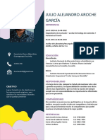 Julio Alejandro Aroche García CURRICULUM PDF