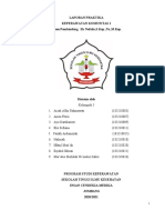 Laporan Praktika ASKEP KOMUNITAS