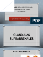 Glandulassuprarrenales 150717174850 Lva1 App6891