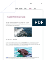 Lecturas Infantiles Algunos Datos Sobre Los Delfines