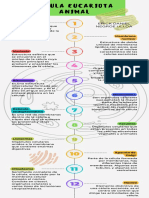 Infografía de Línea de Tiempo Timeline Progreso Con Números Multicolor Moderno Creativo