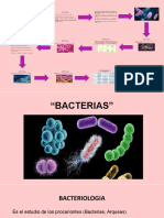 Estudio bacterias