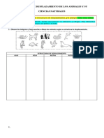 2â° Estructura de Desplazamiento de Los