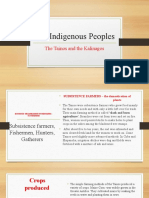 The Indigenous Peoples