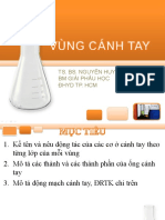 Vung Canh Tay 2020