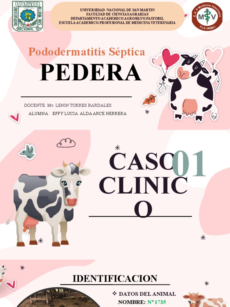 Pododermatitis Séptica en Bovinos | PDF | Medicina CLINICA ...