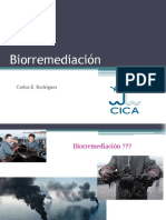 Biorremediación - DR Rodríguez - 2019