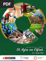 Boletín Mensual - El Agro en Cifras - Mayo 2022