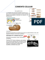 2do Parcial Guia