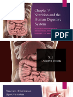 Human Digestive System Chapter Summary