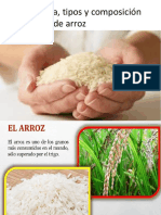 3.1. Arroz 3.1.1. Morfologia Tipos y Composiciòn