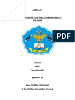 Bahaya Penularan Dan Pencegahan Penyakit HIV AIDS