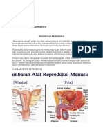 Tugas Reproduksi