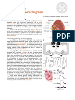 Electrocardiograma: Bases del ECG