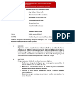 355877126-informe-curahuasi