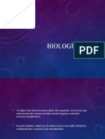 1 Biología Ósea