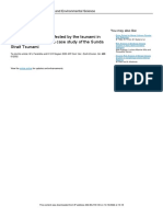 Analysis of Coastal Areas Affected by the 2018 Sunda Strait Tsunami in Pandeglang, Indonesia